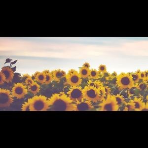 Meet your Posher, Kisha